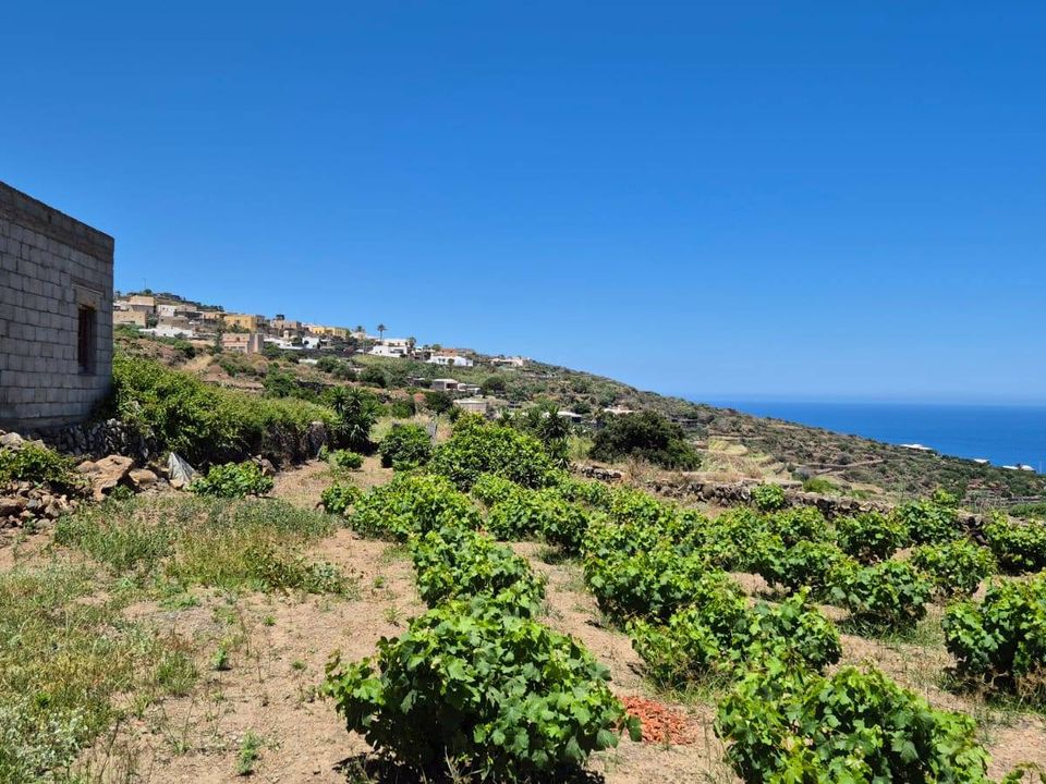 Villa i Pantelleria, Trapani - foto 4