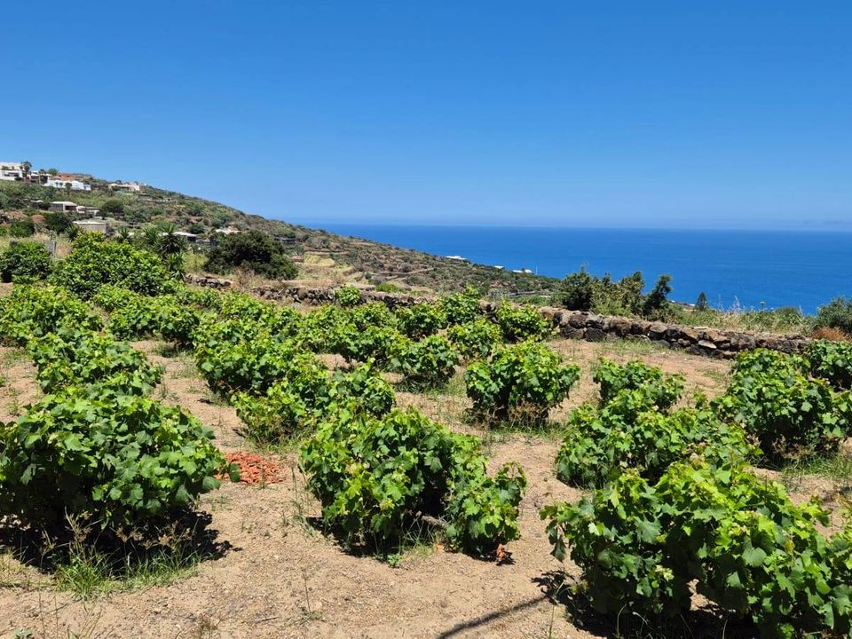 Villa i Pantelleria, Trapani - foto 5