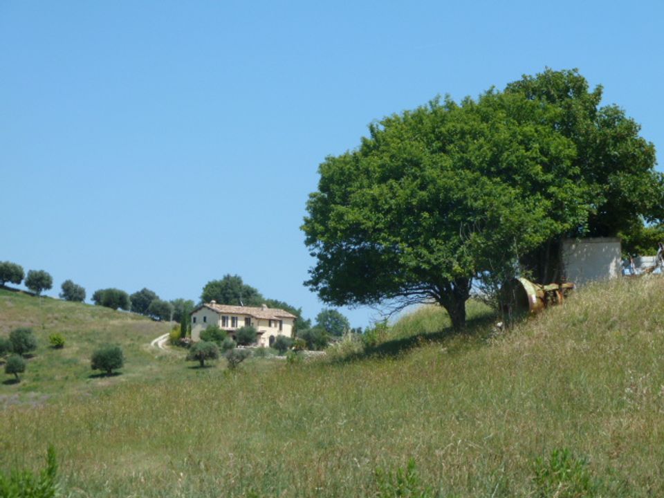 Villa i Monteprandone, Ascoli Piceno - foto 4