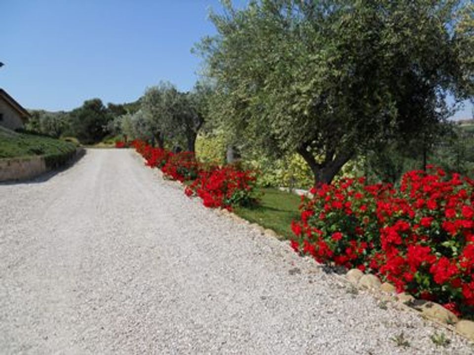 Villa i Martinsicuro, Teramo - foto 2