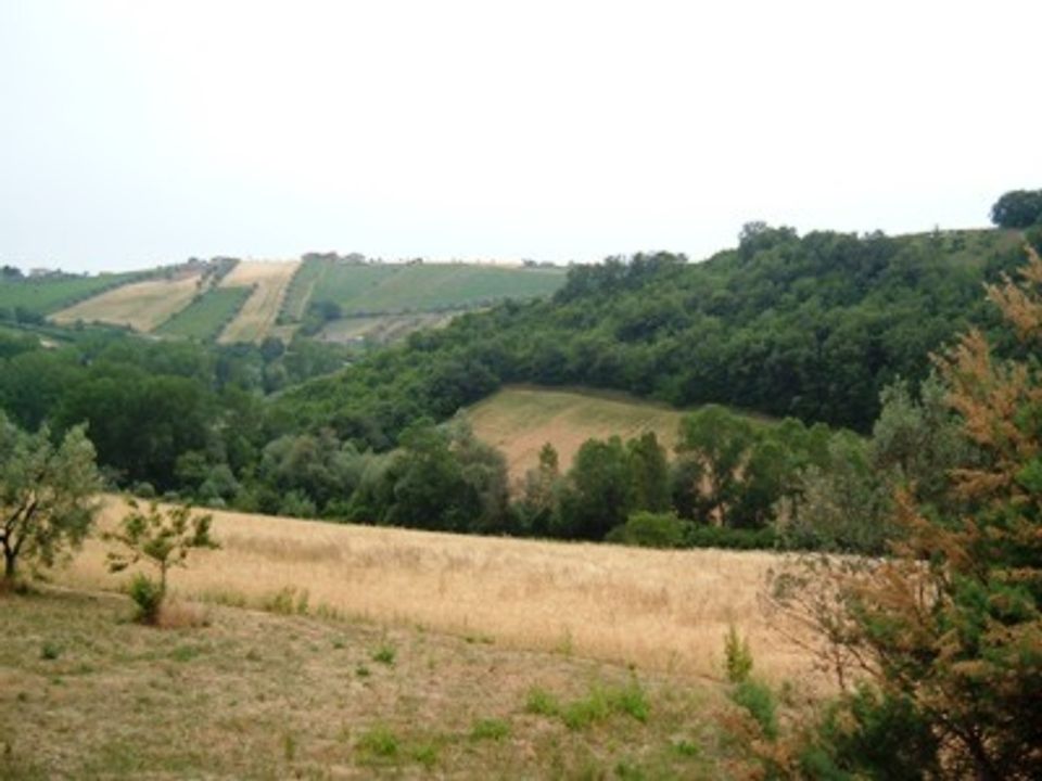 Helårsgrund i Controguerra, Teramo - foto 5