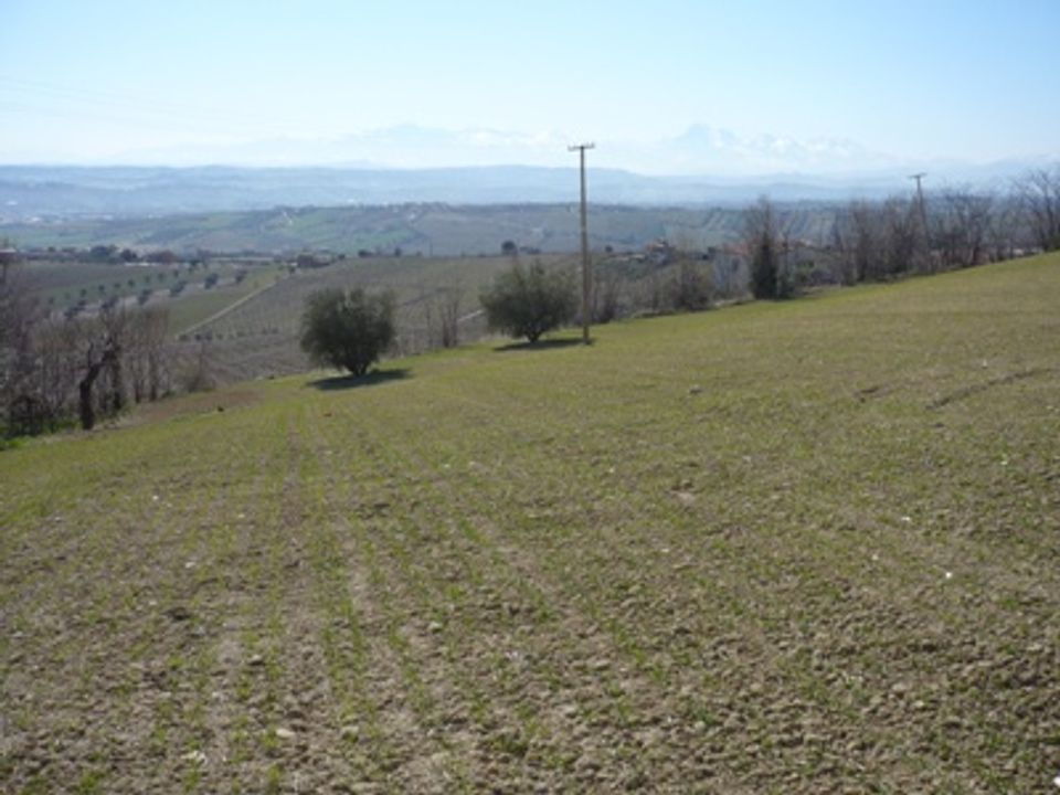 Helårsgrund i Colonnella, Teramo - foto 1