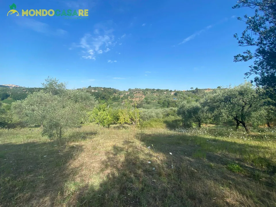 Tomt i Palombara Sabina, Rome - bilde 1