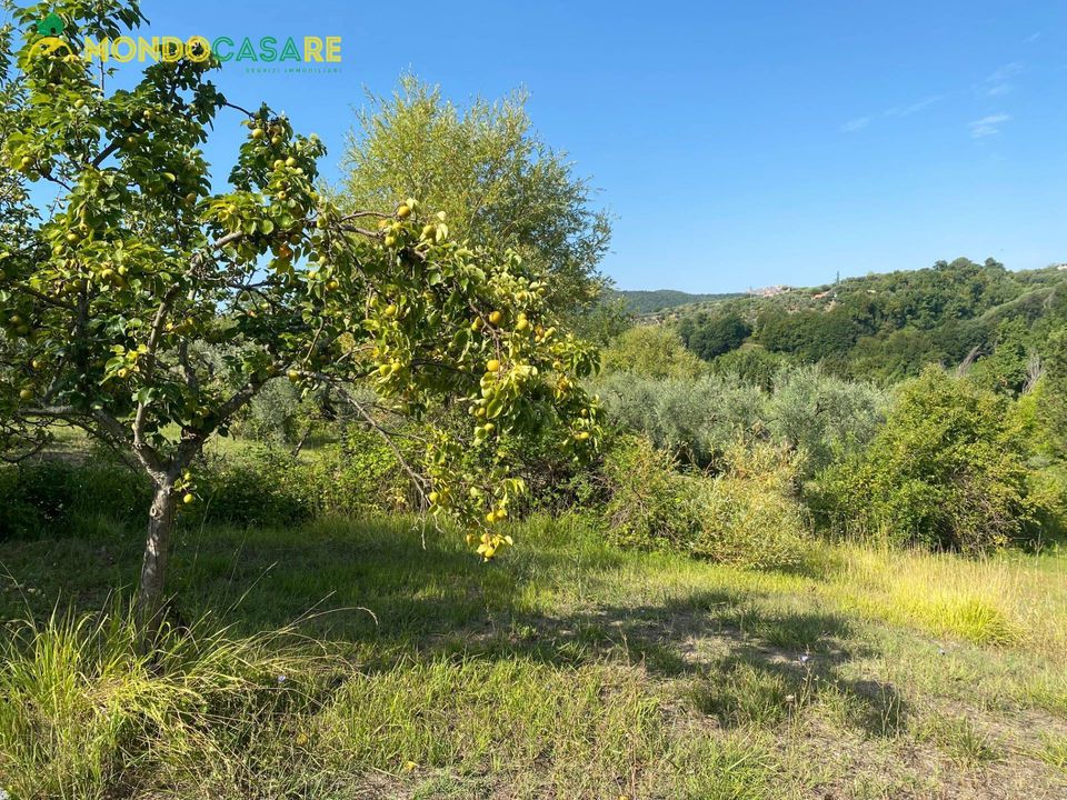 Tomt i Palombara Sabina, Rome - bilde 5