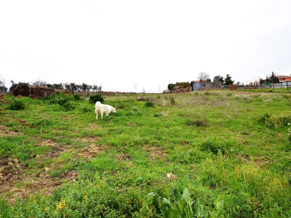 Terreno en Monteprandone, Ascoli Piceno - foto 5