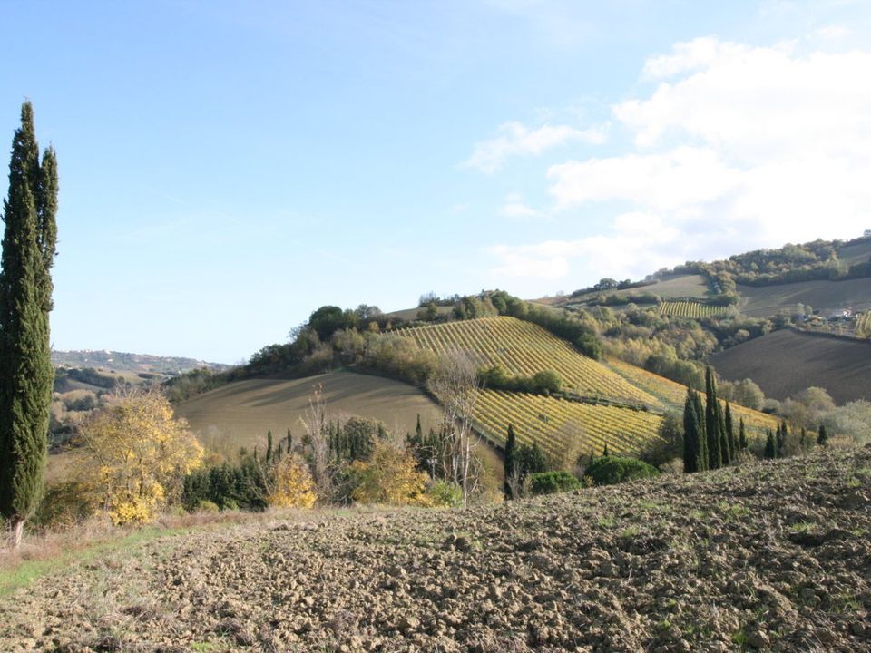 Helårsgrund i Ripatransone, Ascoli Piceno - foto 1