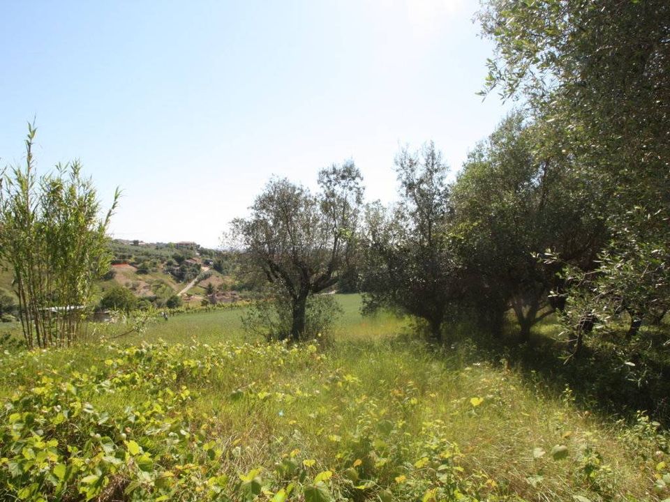 Helårsgrund i Monteprandone, Ascoli Piceno - foto 3