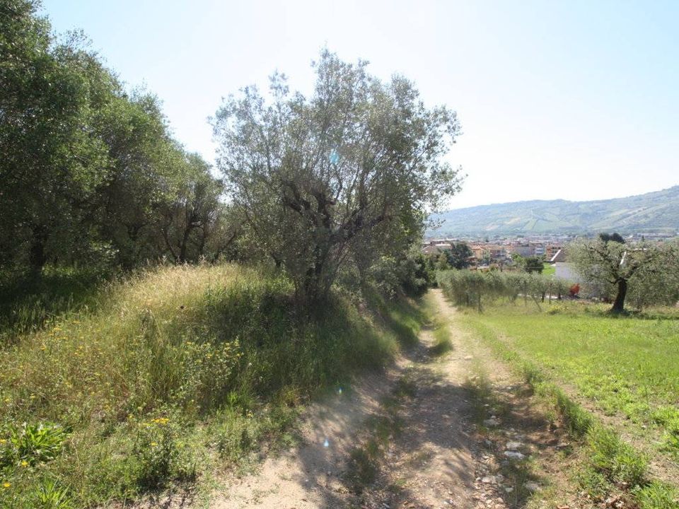 Helårsgrund i Monteprandone, Ascoli Piceno - foto 5