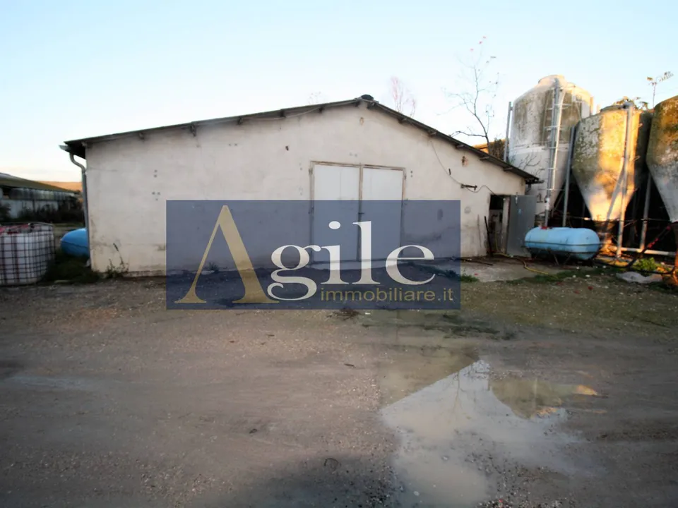 Villa i Offida, Ascoli Piceno - foto 2