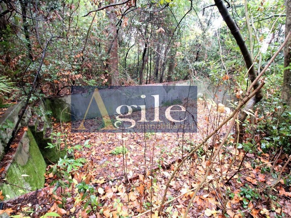Villa i Colli del Tronto, Ascoli Piceno - foto 4