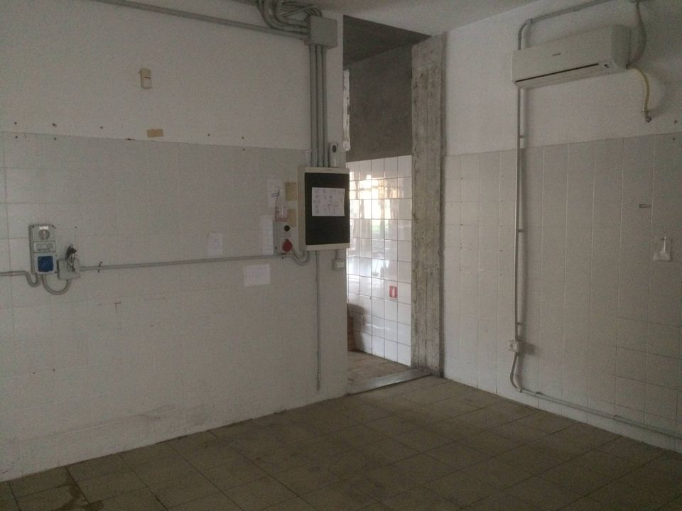 Erhvervsejendom i Vecchiano, Pisa - foto 2