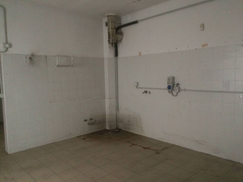 Erhvervsejendom i Vecchiano, Pisa - foto 3