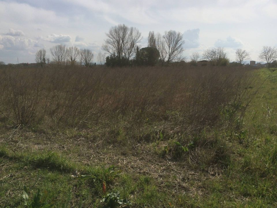 Helårsgrund i Cascina, Pisa - foto 1