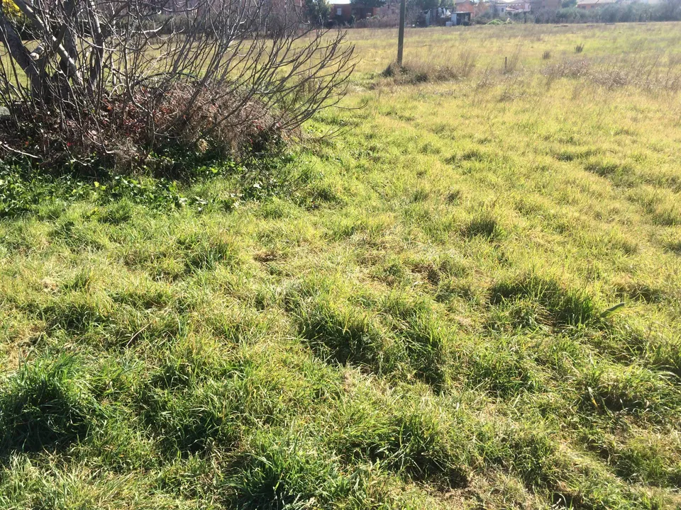 Helårsgrund i Cascina, Pisa - foto 3