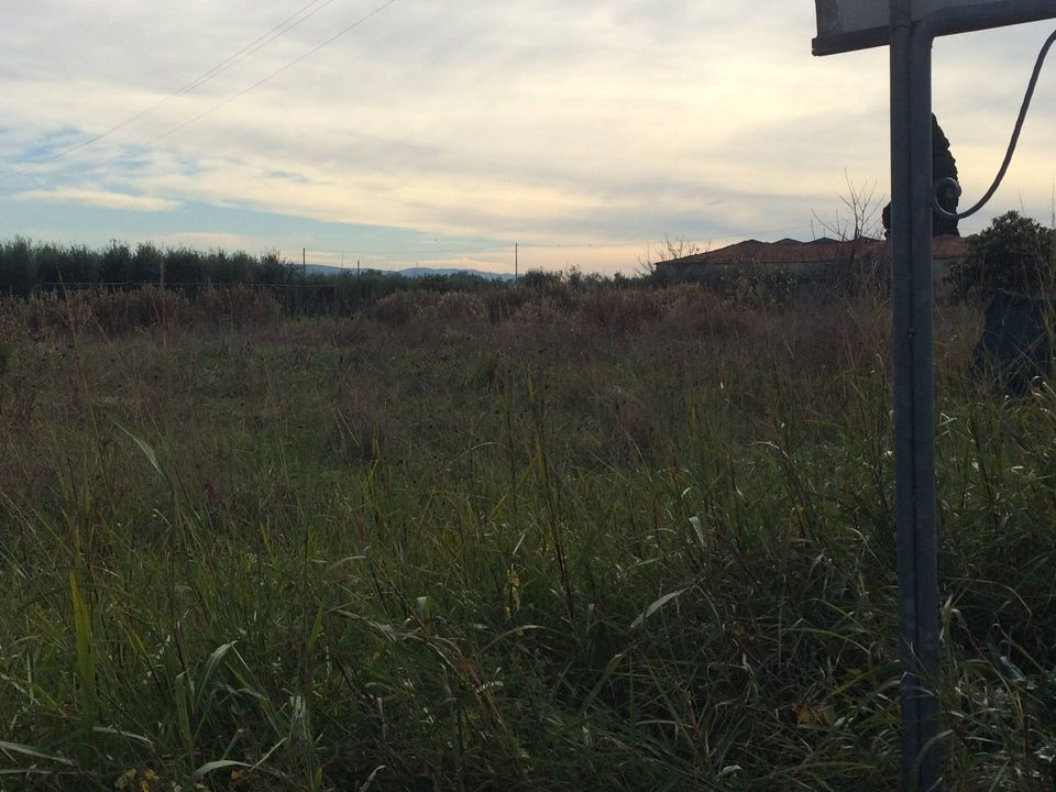 Tomt i Cascina, Pisa - bilde 2