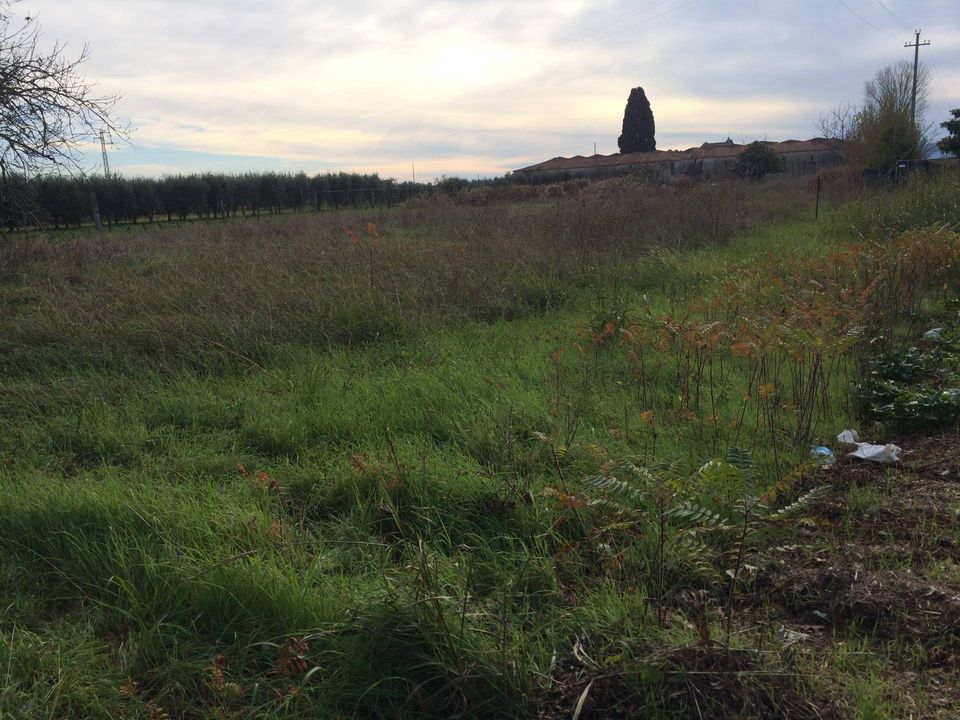 Tomt i Cascina, Pisa - bilde 3