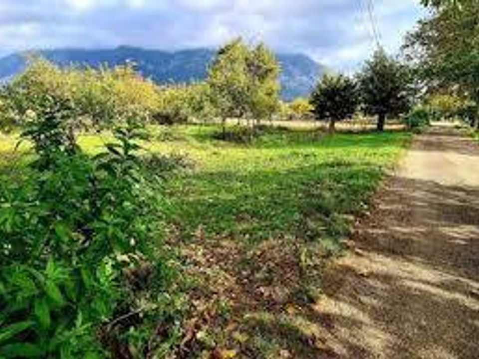 Helårsgrund i San Giuliano Terme, Pisa - foto 4