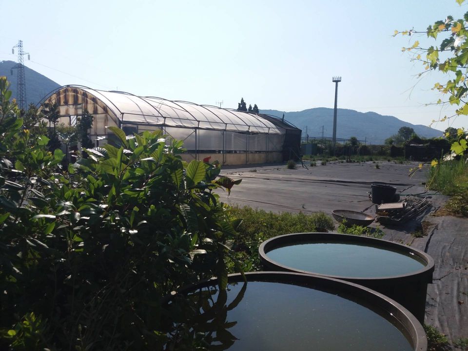 Helårsgrund i Vecchiano, Pisa - foto 1