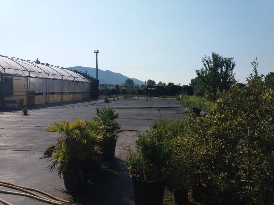 Helårsgrund i Vecchiano, Pisa - foto 2