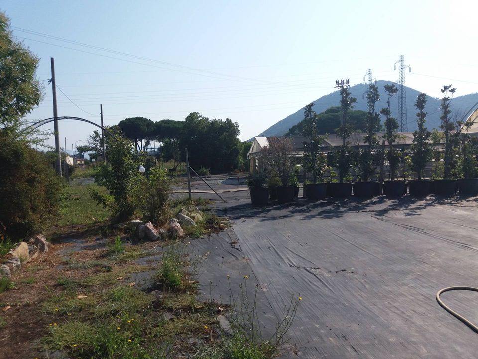 Helårsgrund i Vecchiano, Pisa - foto 4