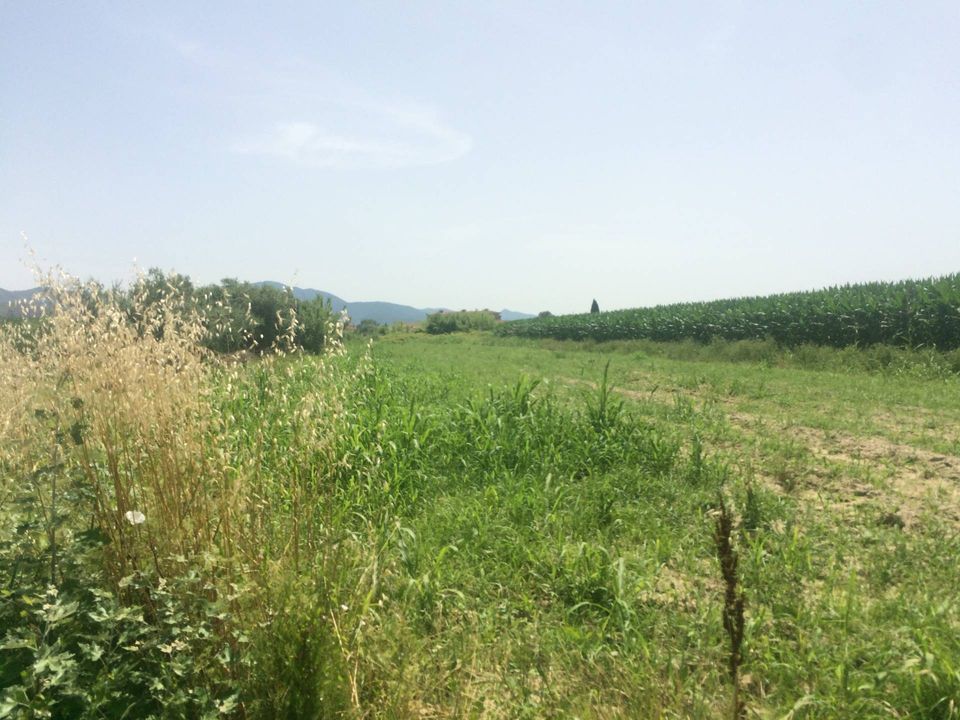Helårsgrund i Vecchiano, Pisa - foto 1