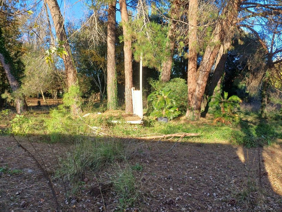 Helårsgrund i San Giuliano Terme, Pisa - foto 2