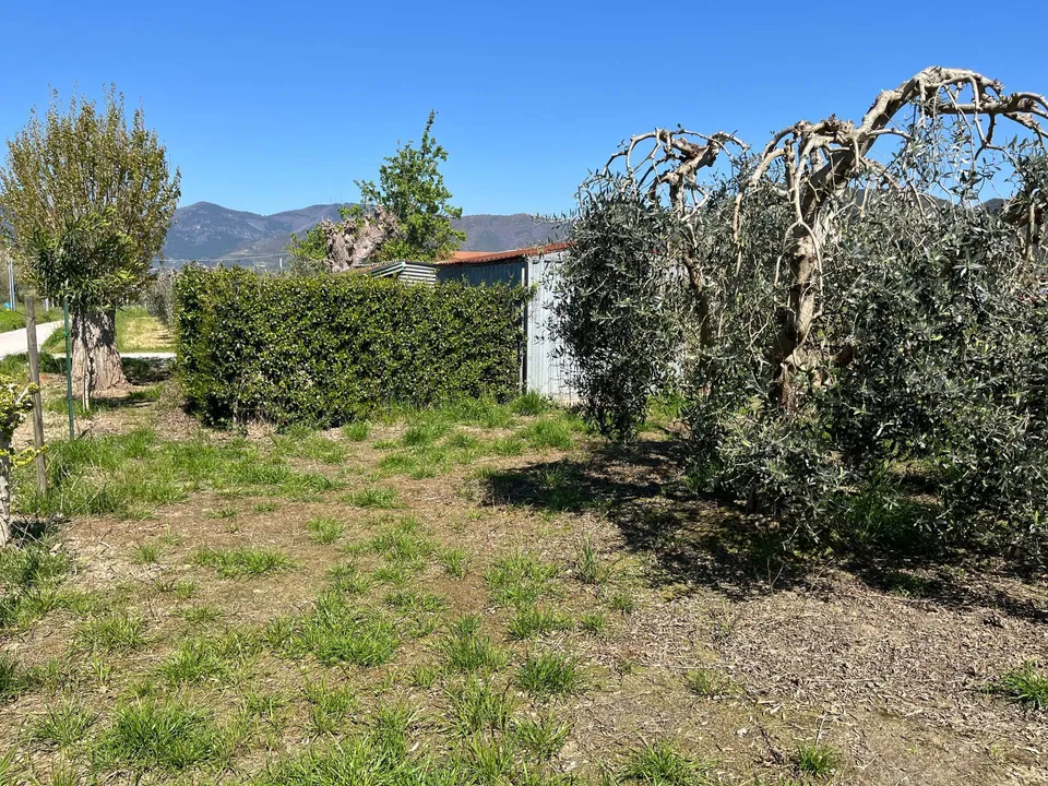 Helårsgrund i Cascina, Pisa - foto 1