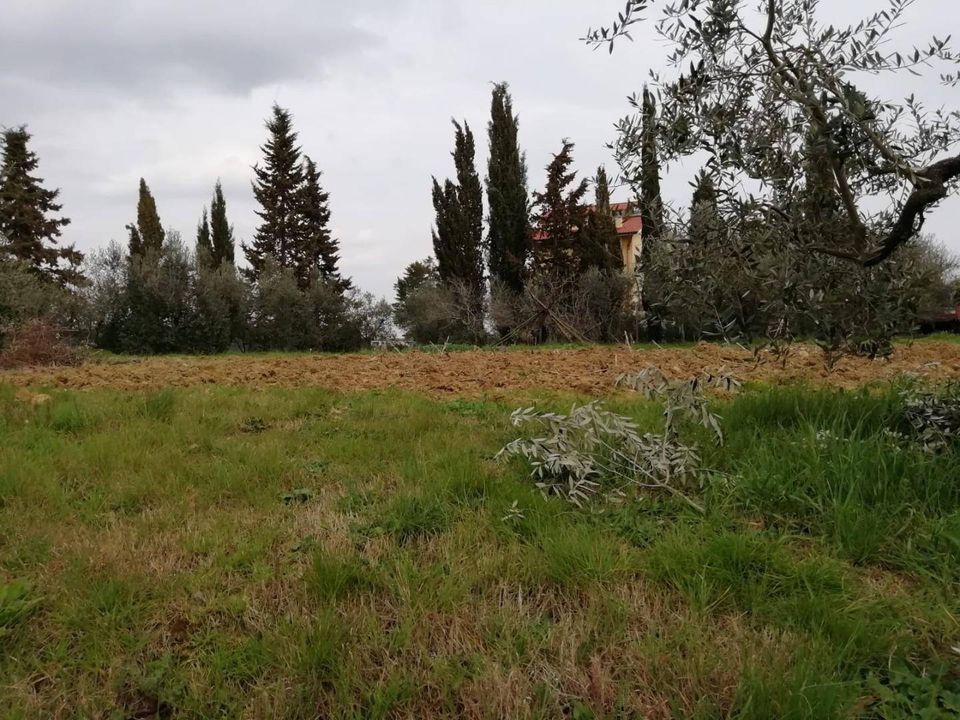 Terreno en Pontedera, Pisa - foto 1