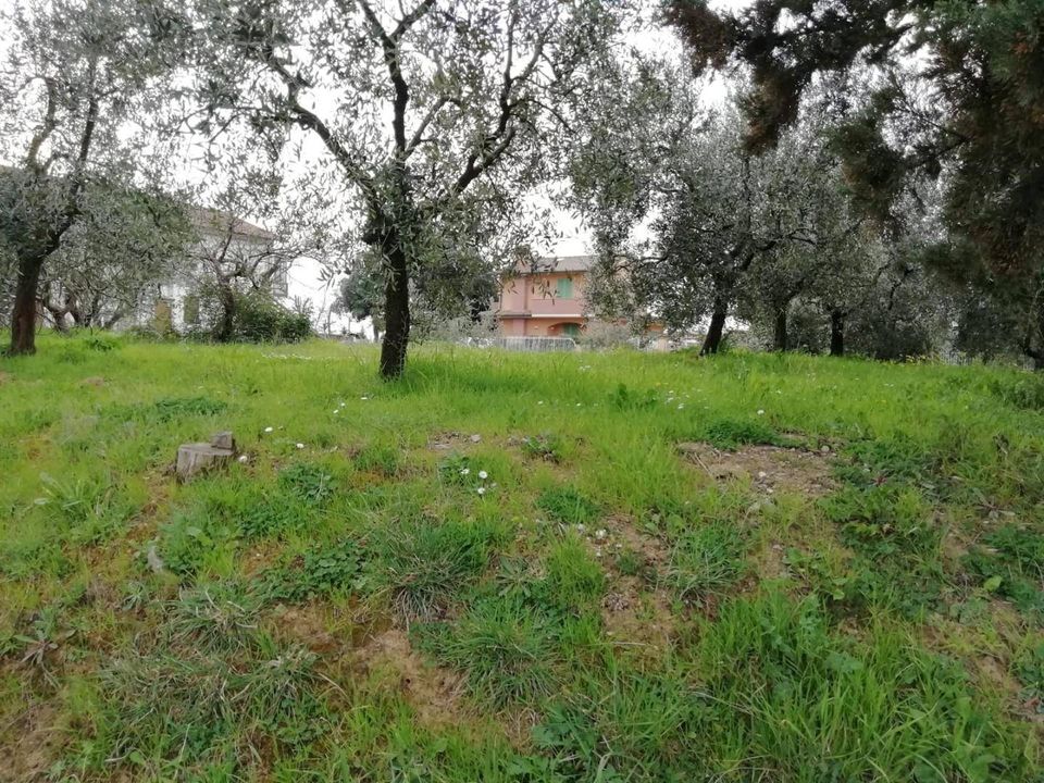 Terreno en Pontedera, Pisa - foto 3