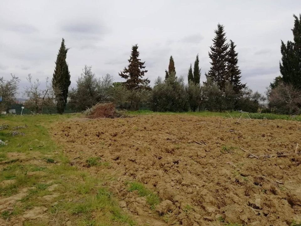 Terreno en Pontedera, Pisa - foto 4