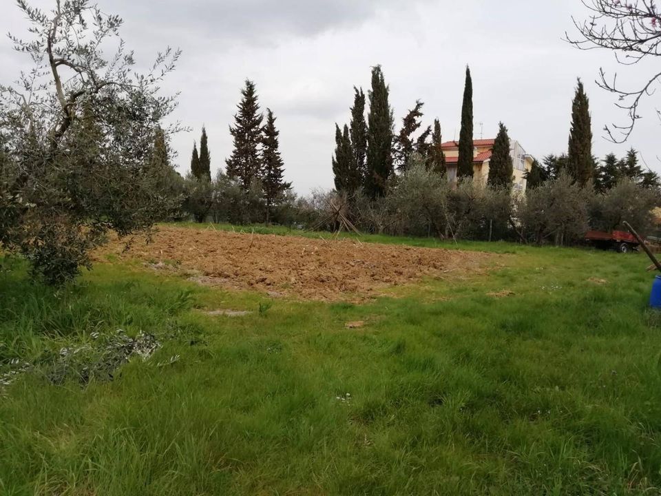 Terreno en Pontedera, Pisa - foto 5