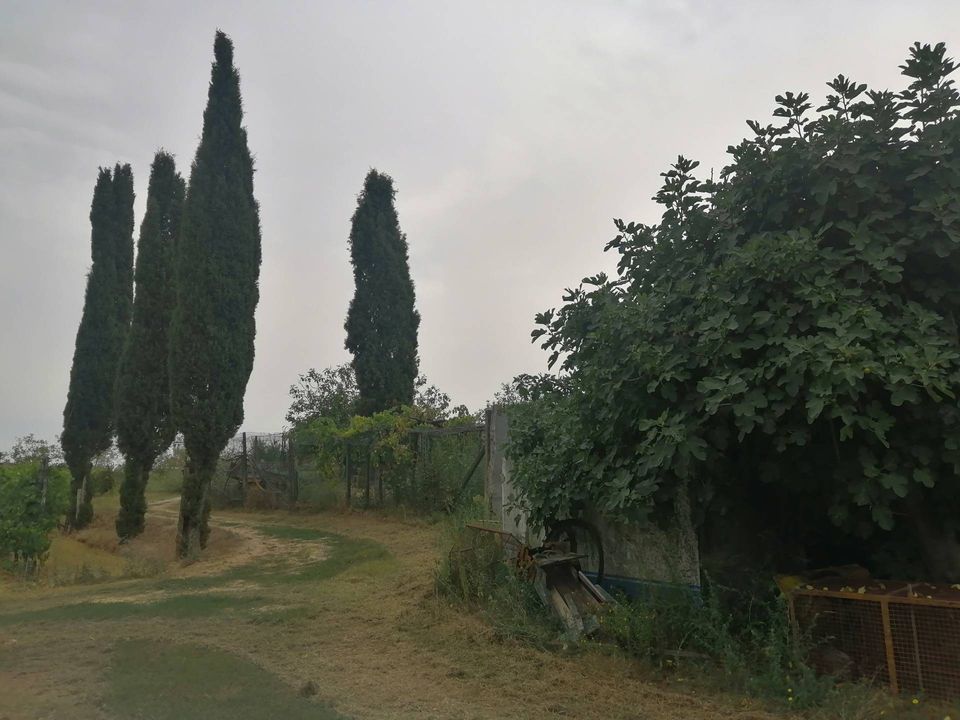 Helårsgrund i Casciana Terme Lari, Pisa - foto 5