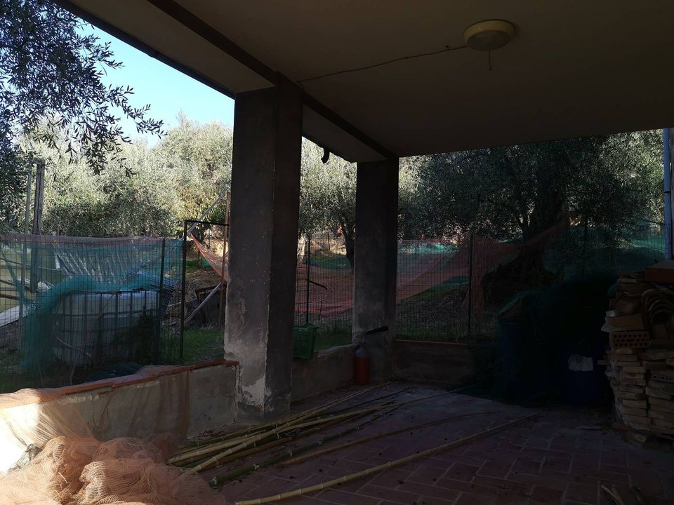 Villa i Vicopisano, Pisa - foto 4