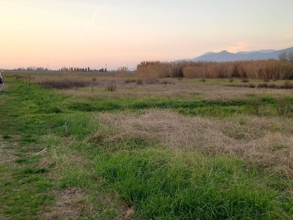 Helårsgrund i Casciana Terme Lari, Pisa - foto 1