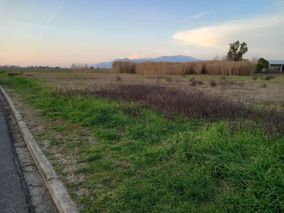 Helårsgrund i Casciana Terme Lari, Pisa - foto 2