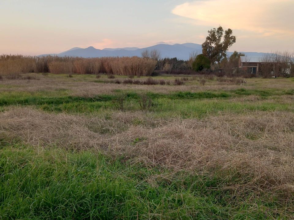Helårsgrund i Casciana Terme Lari, Pisa - foto 3