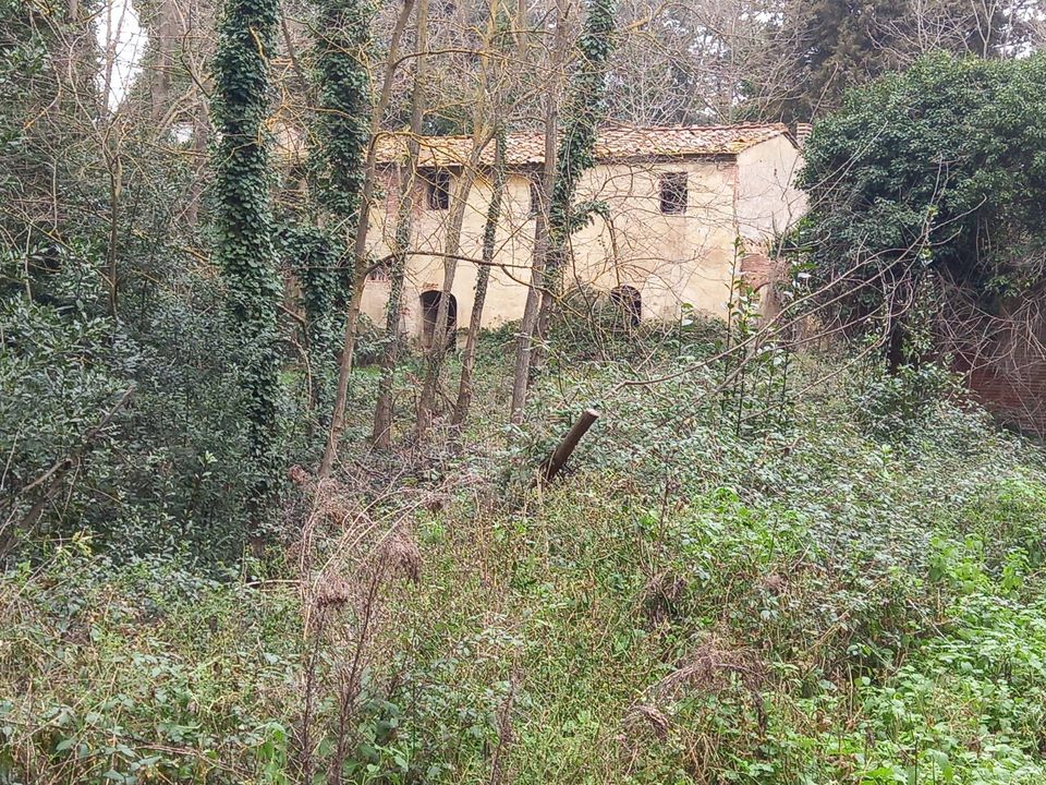 Villa i Crespina Lorenzana, Pisa - foto 2