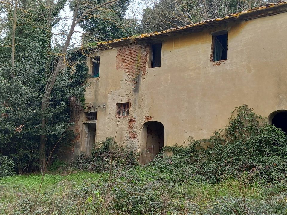 Villa i Crespina Lorenzana, Pisa - foto 4