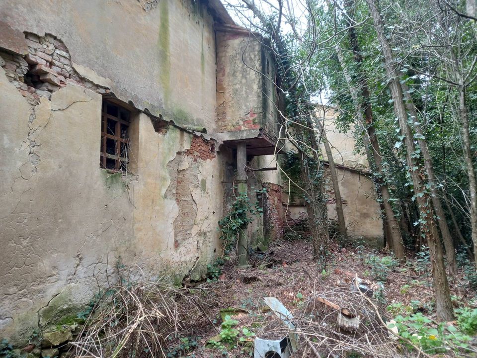 Villa i Crespina Lorenzana, Pisa - foto 5