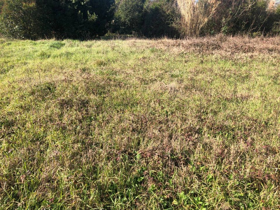 Terreno en Pontedera, Pisa - foto 1