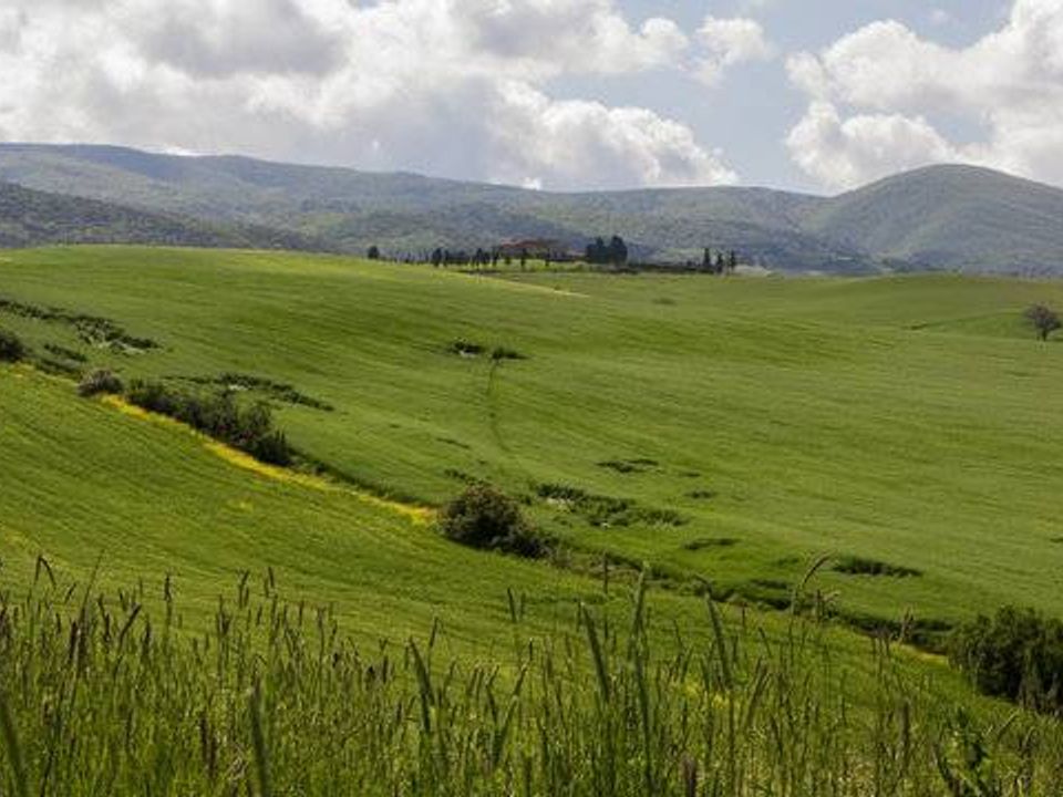 Villa i Palaia, Pisa - foto 3
