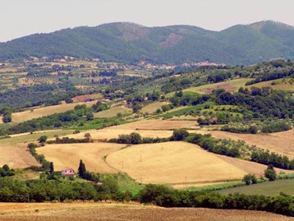 Villa i Palaia, Pisa - foto 4
