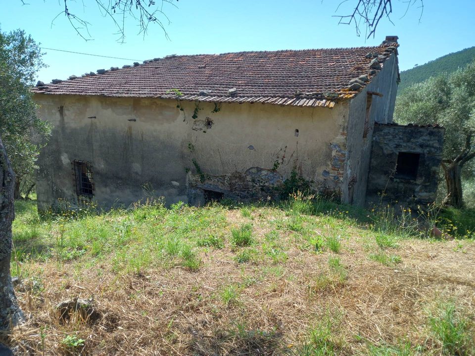 Villa i Vicopisano, Pisa - foto 4