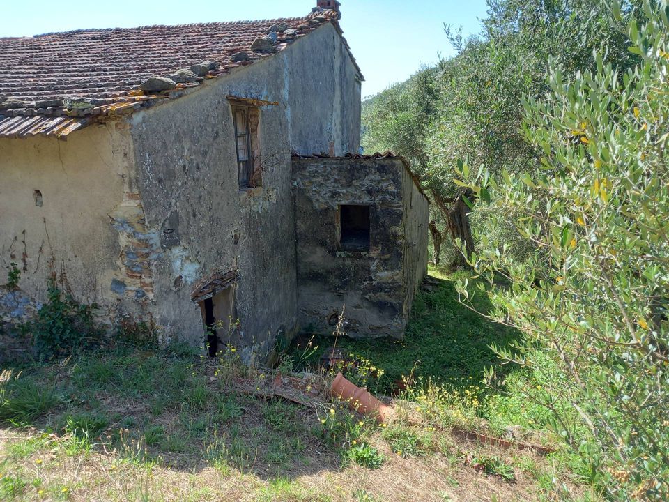 Villa i Vicopisano, Pisa - foto 5