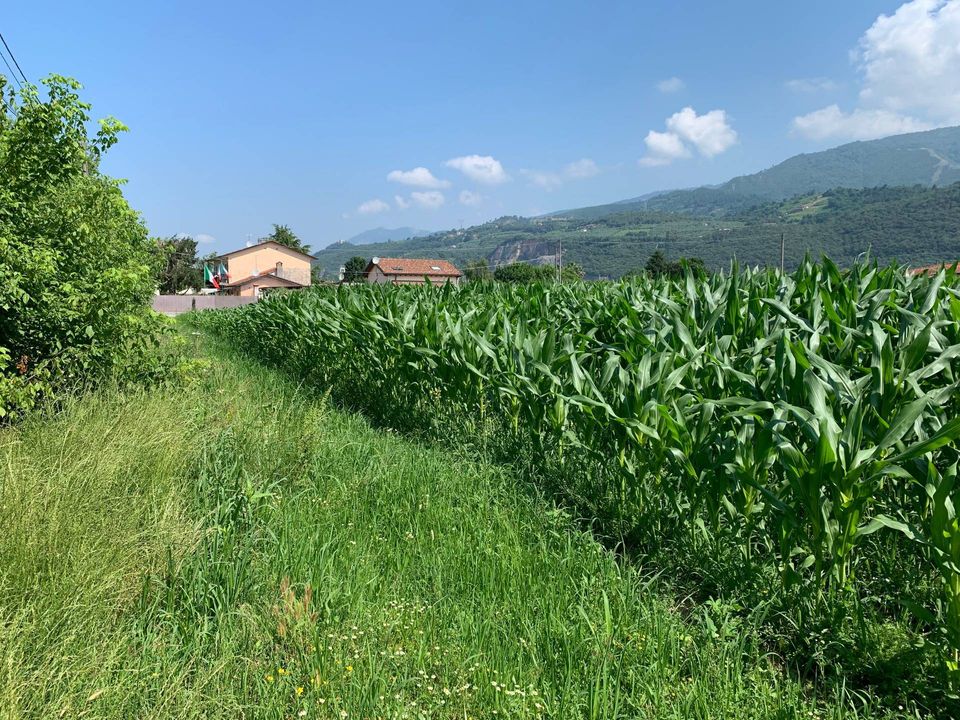Helårsgrund i Pietrasanta, Lucca - foto 1