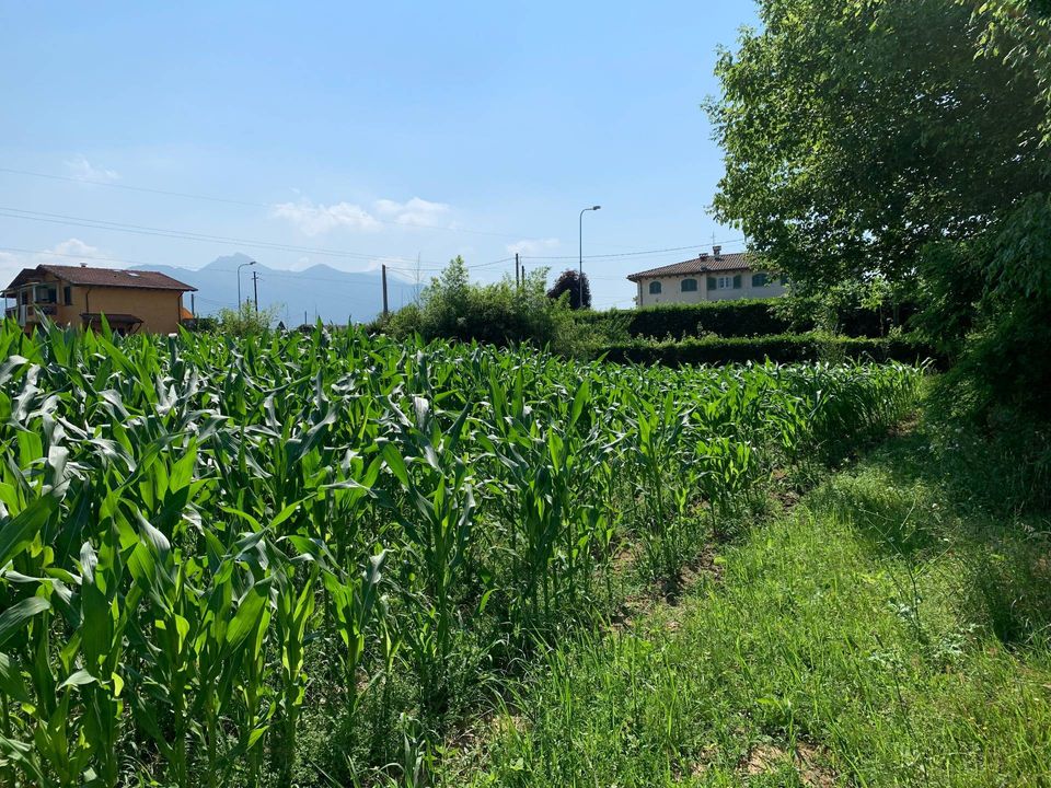 Helårsgrund i Pietrasanta, Lucca - foto 2