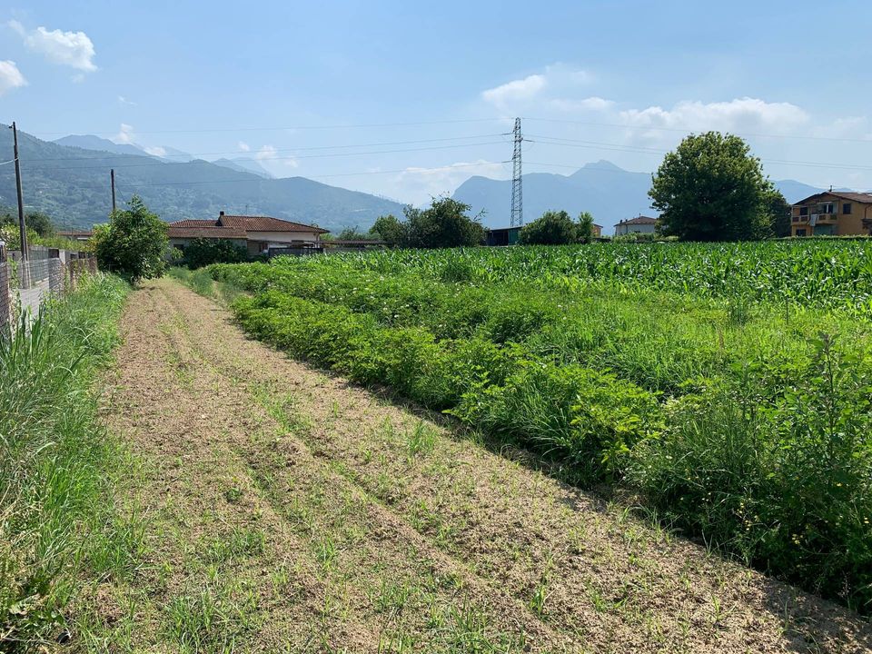 Helårsgrund i Pietrasanta, Lucca - foto 3