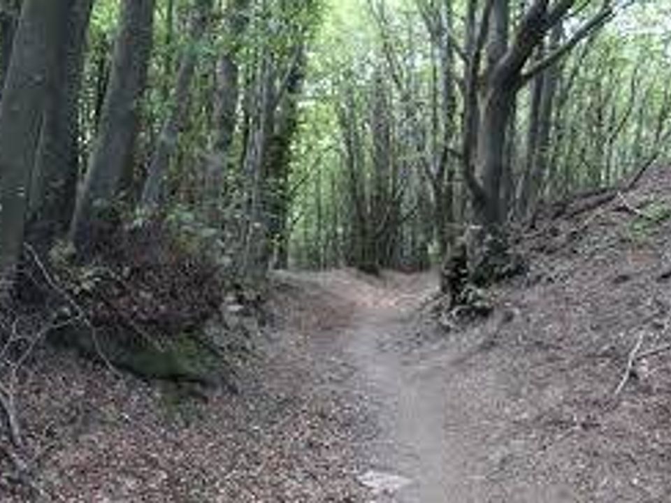 Helårsgrund i Abetone Cutigliano, Pistoia - foto 5