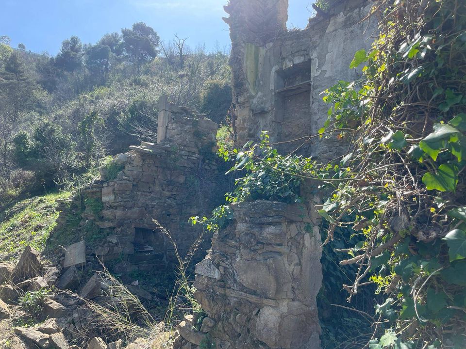 Helårsgrund i San Biagio della Cima, Imperia - foto 4