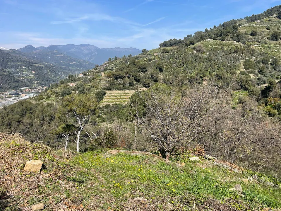Helårsgrund i San Biagio della Cima, Imperia - foto 2